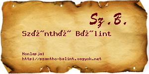 Szánthó Bálint névjegykártya